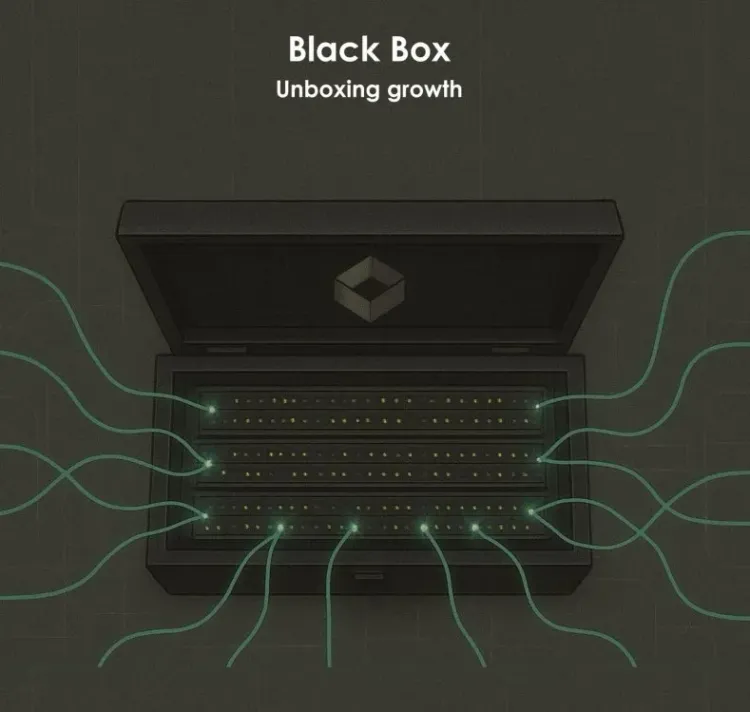 Can Black Box Achieve Scalable Growth with Data Centre and Networking Demand?