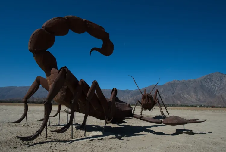 What Deadly Secrets Does the Black Scorpion Sting Hold?