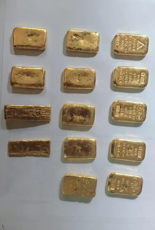 BSF Intercepts Gold Smuggling Attempt Worth Rs 1.28 Crore Near Indo-Bangladesh Border, Arrests Smuggler
