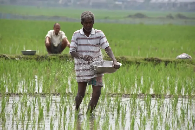 Cabinet Sanctions ₹37,216 Crore Fertilizer Subsidy for Kharif Season Support