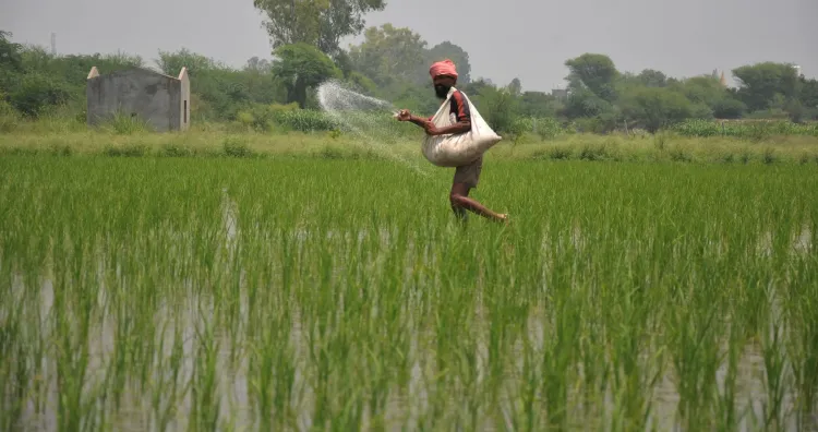 Union Cabinet Approves Continued DAP Fertilizer Subsidy for Farmers
