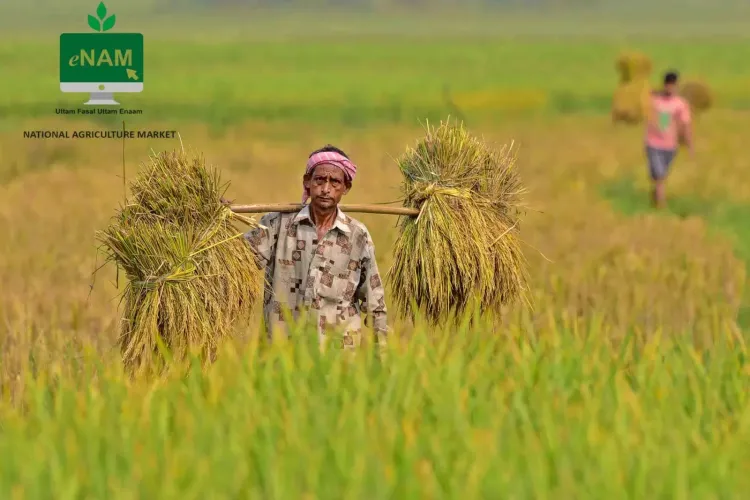 Government Expands e-NAM Trade with 10 New Agri Goods