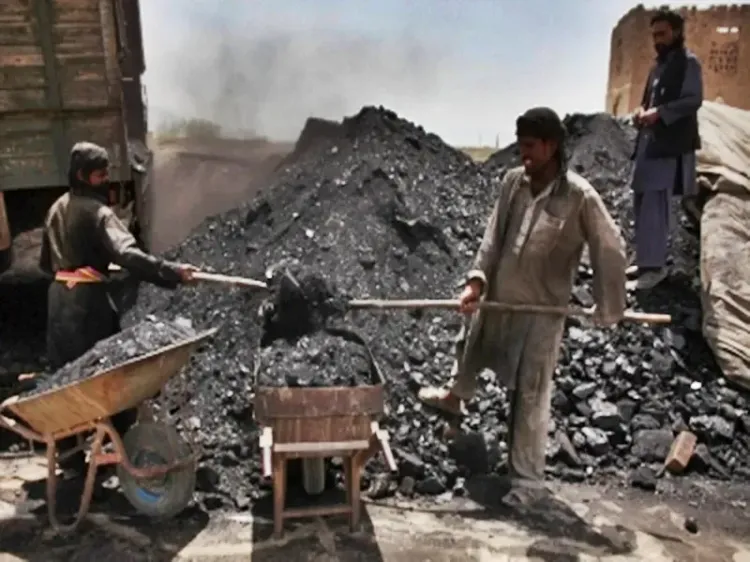 Government Streamlines Registration Fees for Coal Importers to Boost Business Efficiency