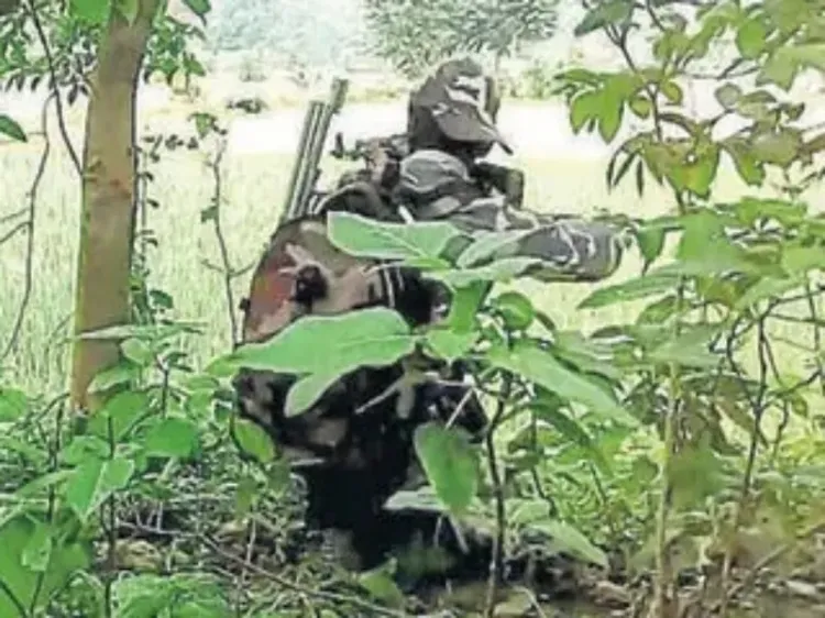 Chhattisgarh: Were Seven Maoists Neutralized in an Operation at Indravati National Park?