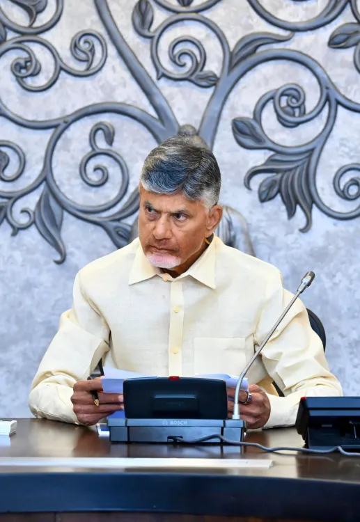 CM Chandrababu Naidu to Elevate Andhra Pradesh's Global Profile at World Economic Forum in Davos Today