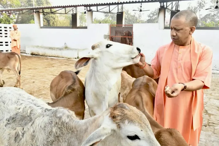 क्या सीएम योगी के नेतृत्व में गो सेवा से उत्तर प्रदेश की तरक्की होगी?