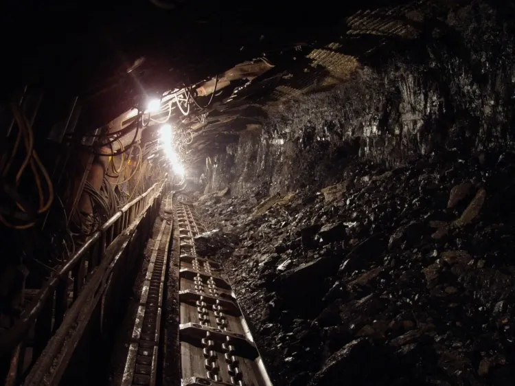 Did Coal India Achieve a 12% Increase in Q4 Net Profit?