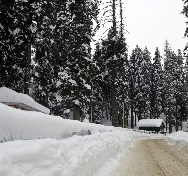 Thick Fog Causes Flight Delays in Srinagar; Valley Prepares for Heavy Snowfall
