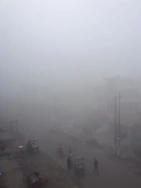 Thick Fog Covers Parts of Rajasthan; Rain, Hail, and Cold Wave Predicted Soon