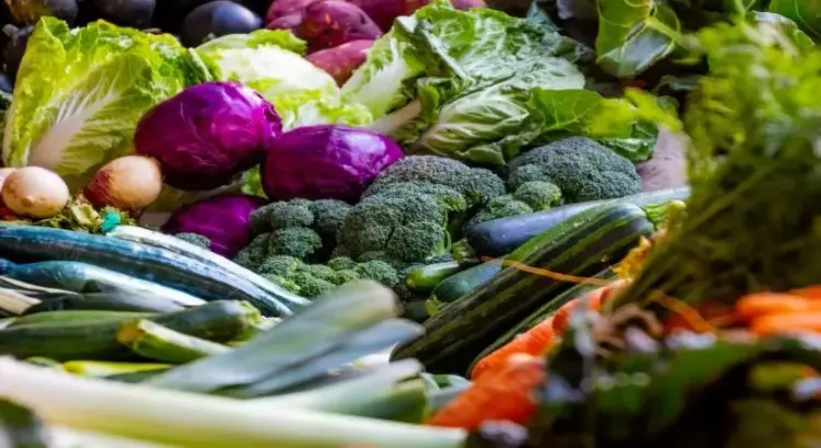 Can a healthy childhood diet delay menstrual onset in girls?