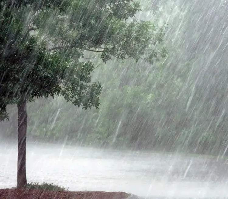 Wayanad's Educational Facilities in Kerala to Close Today Due to IMD's Red Alert for Intense Rainfall