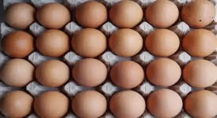 US Egg Prices Reach All-Time High Amid Bird Flu Crisis