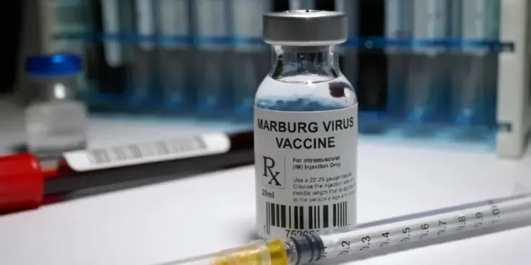 Eight Lives Lost in Tanzania's Suspected Marburg Virus Outbreak: WHO
