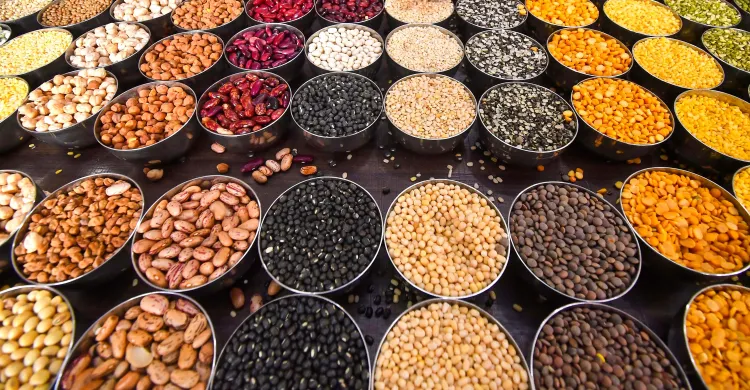 Can Fermenting Legumes and Pulses Enhance Their Antioxidant and Antidiabetic Benefits?