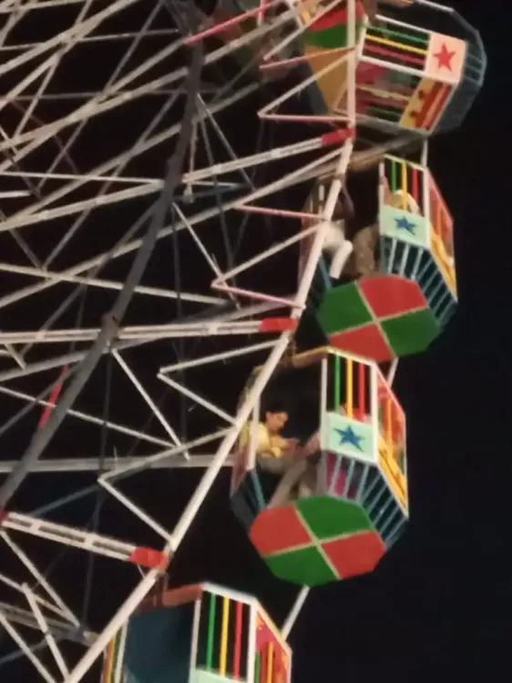 What Happened at the Giant Wheel in Chennai? Amusement Park Temporarily Closed After Visitors Stranded Mid-Air