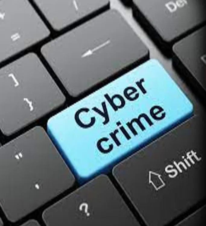 Who is the Goa Man Arrested for Trading Sensitive Data Using Cryptocurrency?