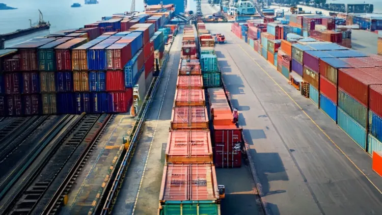 Why Has the Government Imposed Anti-Dumping Duties on Imports of Vitamin A and Rubber Chemicals?