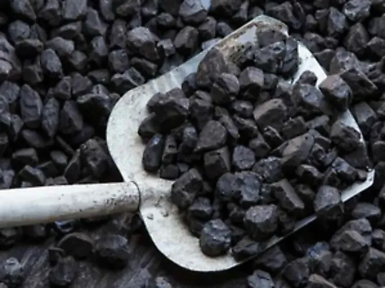 What Happened in the 12th Round of Coal Mine Auctions?