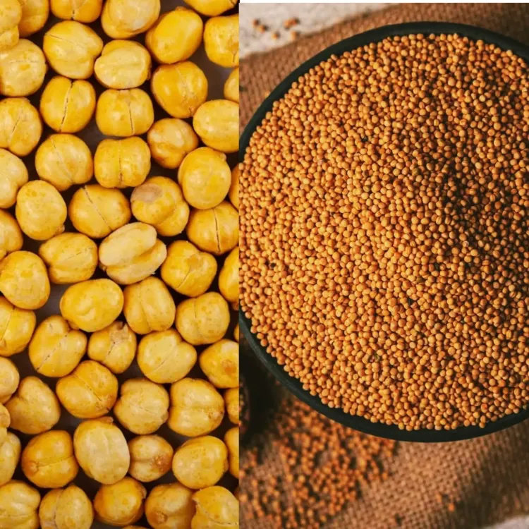 Gujarat Government to Acquire Chickpeas and Mustard at MSP