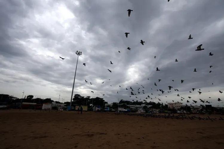 Heavy Rain Warning for Delta Districts of Tamil Nadu, Precautionary Measures Advised
