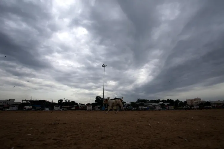 Will the Western Ghats and Interior TN Districts Experience Heavy Rain Until May 16?
