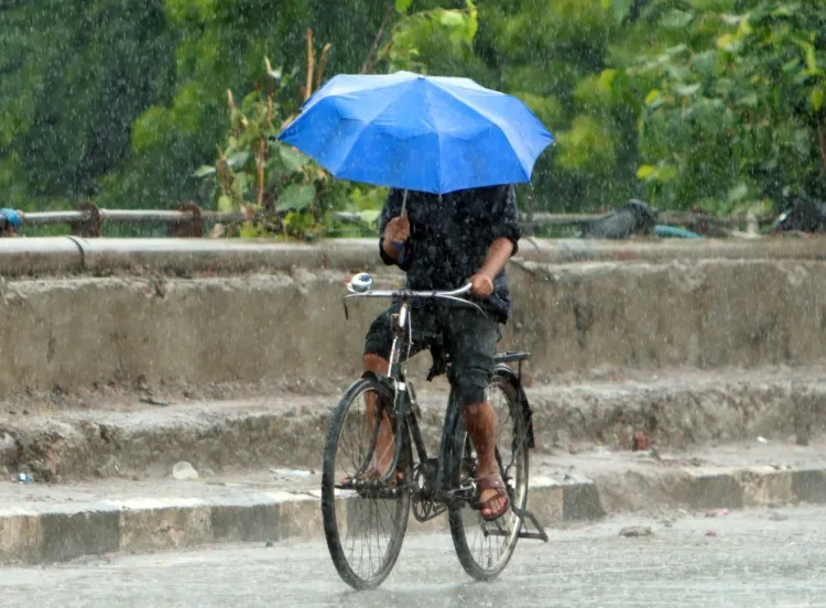 Will Tamil Nadu Experience Heavy Rainfall Until May 17?