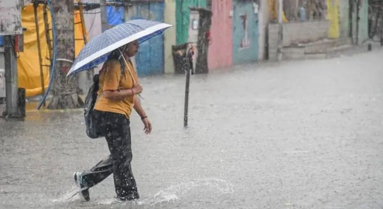 Have Schools & Colleges in 7 Karnataka Districts Closed Today Due to Heavy Rains?