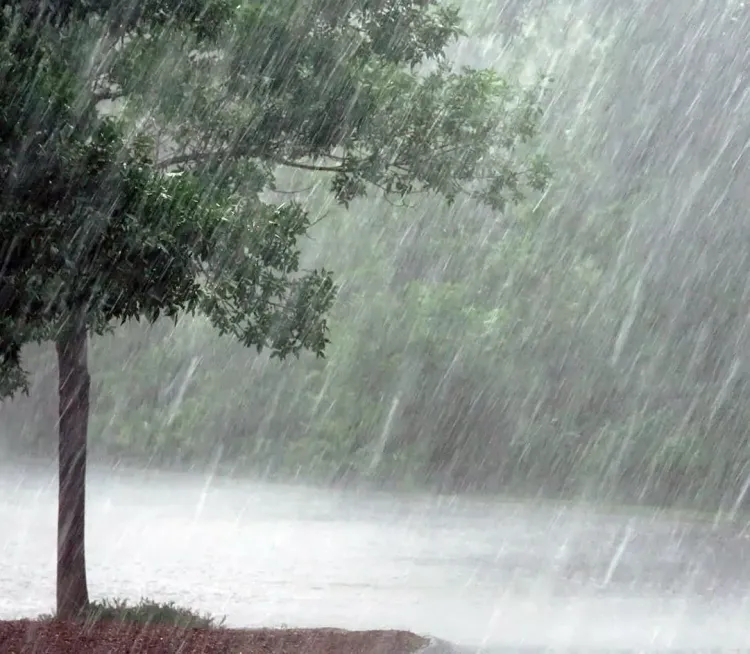 Intense Rainfall Anticipated in Five Districts of Tamil Nadu on January 11