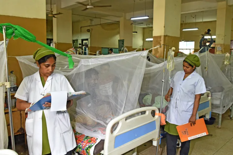 क्या बांग्लादेश में डेंगू की स्थिति गंभीर है? 24 घंटे में 3 और मौतें, मृतकों की संख्या 100 पार