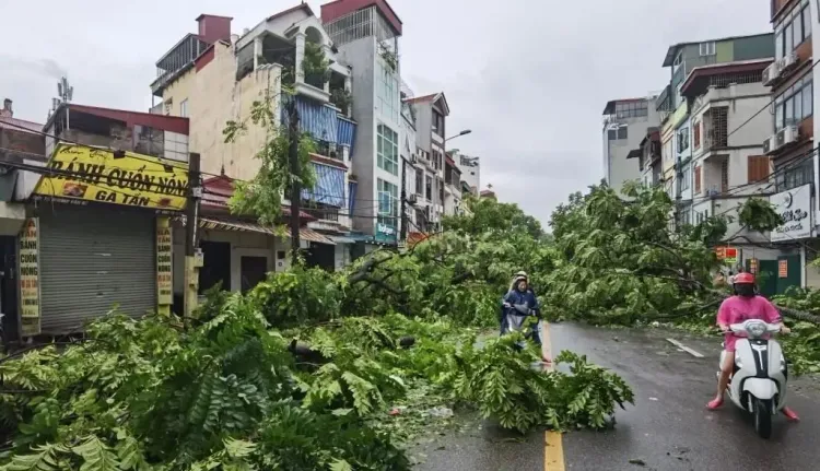 क्या वियतनाम में तूफान काजिकी से मरने वालों की संख्या बढ़कर सात हुई?