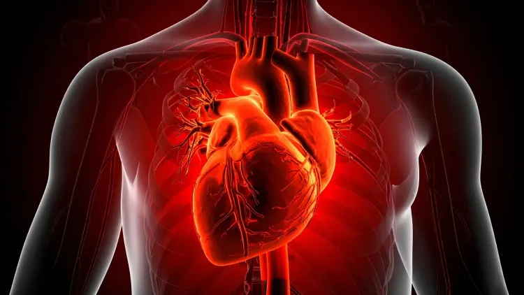 क्या एआई टूल 'इकोनेक्स्ट' कार्डियोलॉजिस्ट से भी ज्यादा सटीक है?