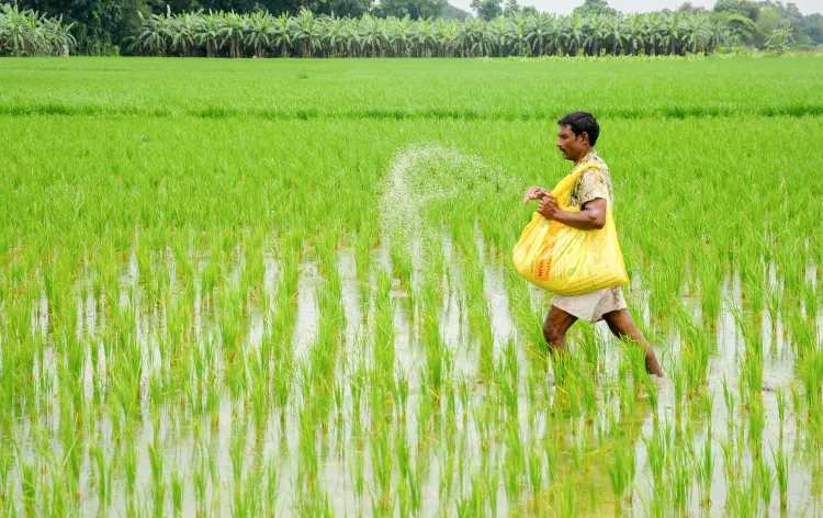 क्या बीते एक दशक में यूरिया का उत्पादन 35 प्रतिशत बढ़ा और डीएपी का प्रोडक्शन 44 प्रतिशत बढ़ गया?