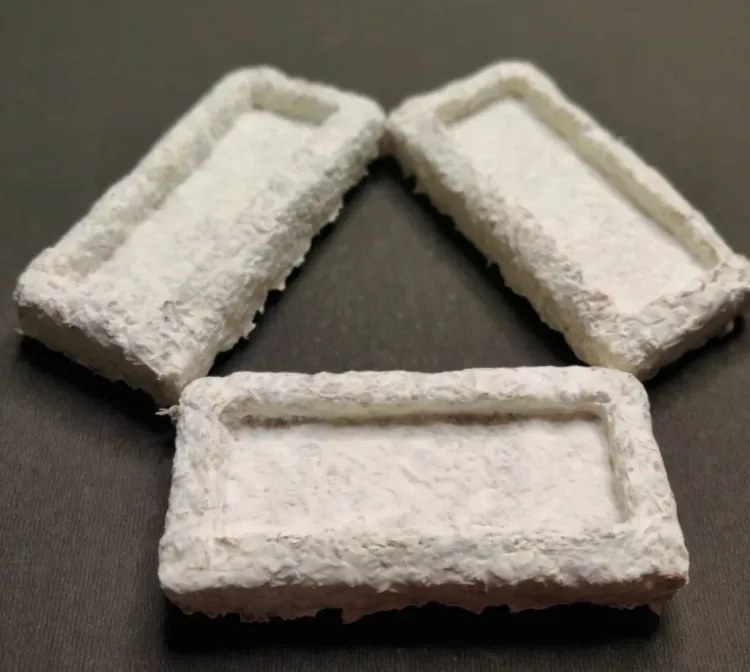 Can IIT Madras’ New Agri-Waste Packaging Material Reduce Plastic Usage?