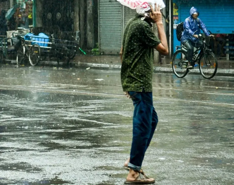 Why Did IMD Issue a Red Alert for 5 Districts in Kerala?