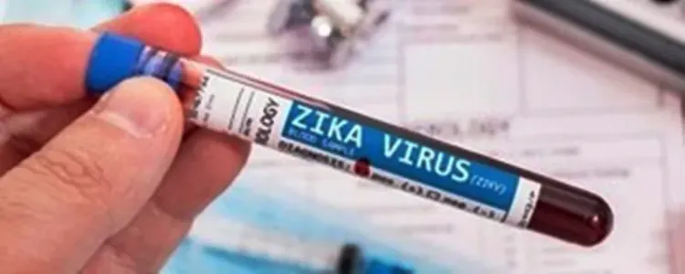 India Sees 151 Zika Virus Cases in 2024, Maharashtra Leads: WHO