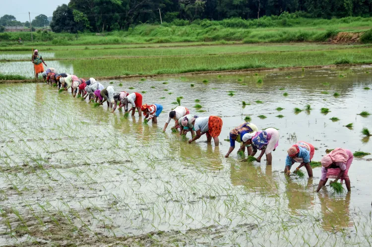 How Does the India-UK FTA Create a $37.5 Billion Market for Indian Farmers?