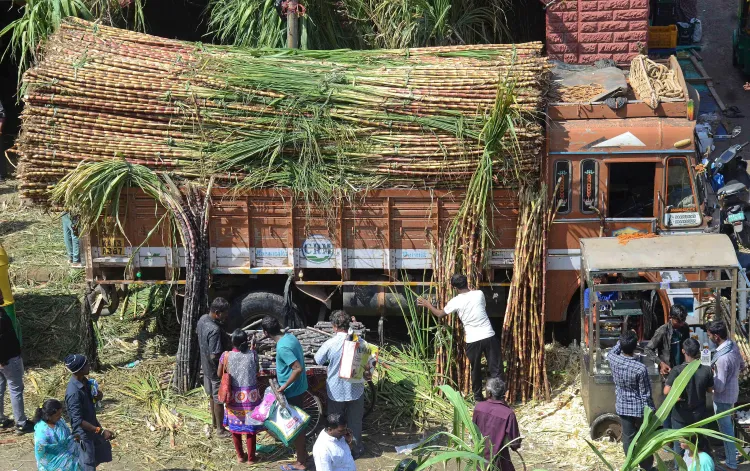 Will India’s Sugar Production Surge by 15% to 35 Million Tonnes Due to Favorable Monsoon?