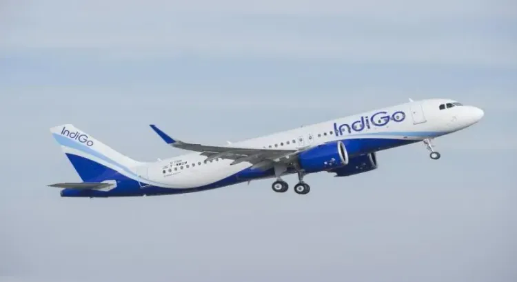 Are IndiGo and Air India Resuming Flights at Reopened Airports?