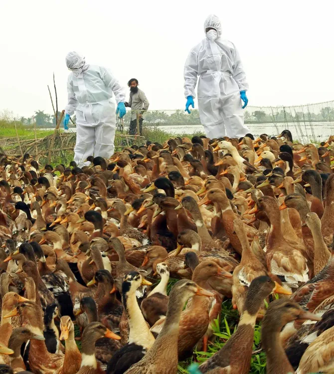 Are Infectious Animal Diseases Migrating to New Species and Threatening Humans?