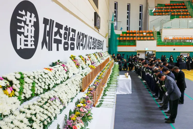 Mass Cancellations of Jeju Air Tickets Following Fatal Crash