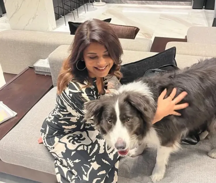 Who has Jennifer Winget's Heart?