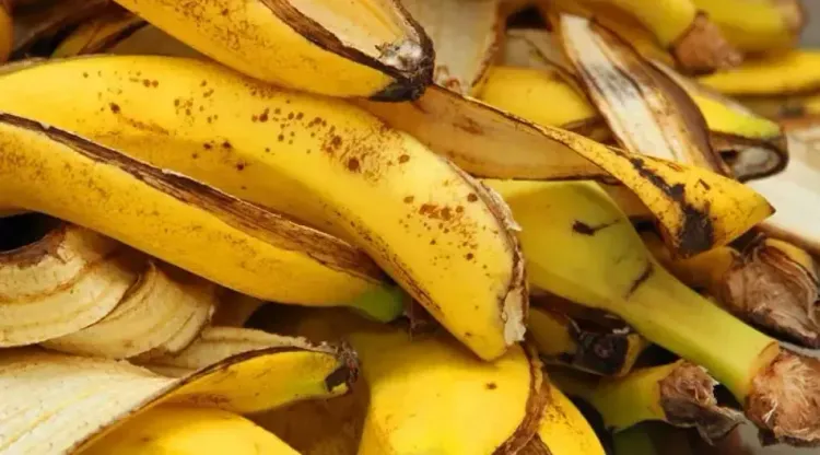 क्या केले का छिलका कचरा है? वैज्ञानिकों की रिसर्च में सेहत के अनगिनत फायदे!