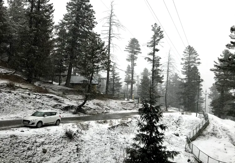 Kashmir Prepares for a Colder, Wetter Winter This Year: Insights from J&K MeT Department