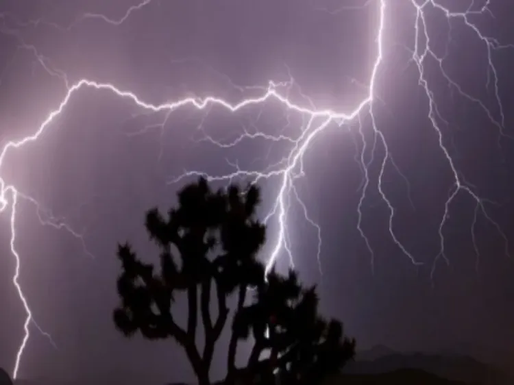 Did a lightning strike claim a life in Madhya Pradesh's Sehore?
