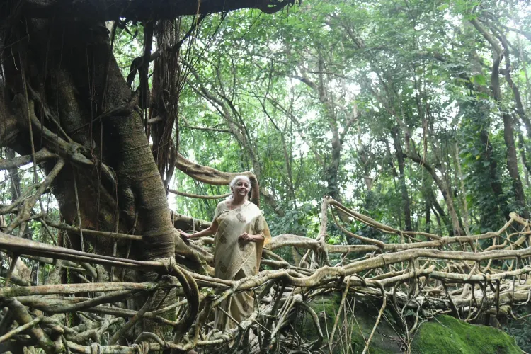 How Do Living Root Bridges Pave the Way for a Sustainable Future?