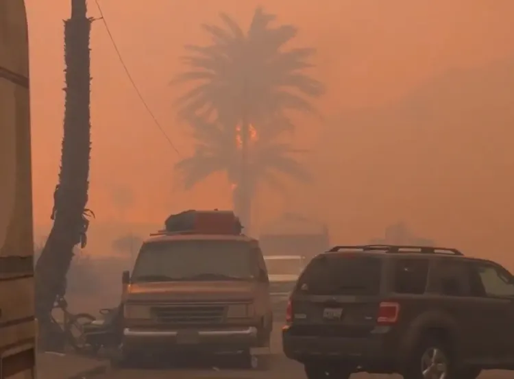 Devastating Wildfires in Los Angeles: 25 Lives Lost and 92,000 Evacuated