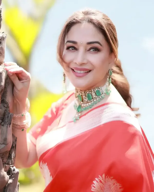 How Did Madhuri Dixit, Allu Arjun, and Kamal Haasan Celebrate Eid Mubarak?