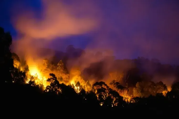 Significant Bushfire in Australia Anticipated to Persist for Weeks