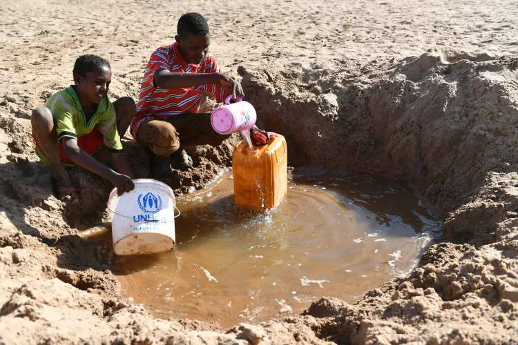 Ethiopia Suffers 59 Fatalities from Malaria and Cholera: WHO