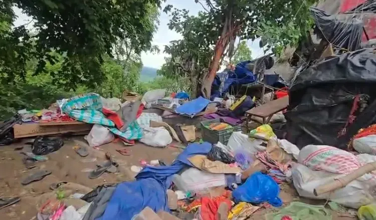 What Did CM Dhami Announce After the Mansa Devi Stampede?